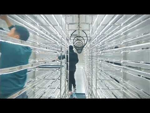 Maximize Livestock Feed Efficiency: Installation of a High-Density Fodder System