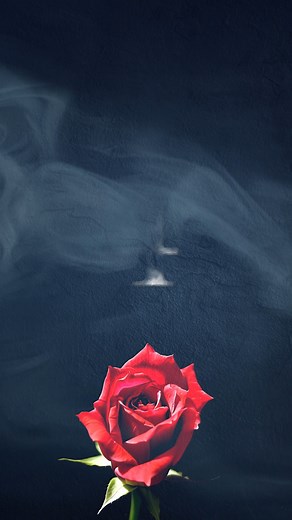 210K views · 508 reactions | Just 4 MONTHS until the chandelier drops at the Saenger Theatre! Get ready for THE PHANTOM OF THE OPERA — March 4–15. Don’t wait - get your tickets TODAY at https://atgtix.co/43BoaaE | The Saenger Theatre | Facebook