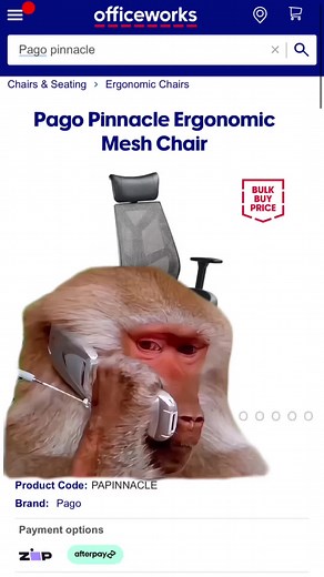 Pinnacle Mesh Ergonomic Chair Availability at Officeworks