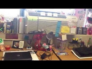 FSU Smith Hall Dorm Tour