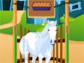 Horse Care Apprenticeships 🕹️ Online Game | Gameflare.com