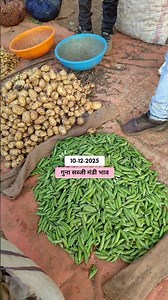 गुना सब्जी मंडी भाव🍅 #gunasabjimandibhav #gunamandibhav #todaymandibhav #shortvideo #tamatarkabhav