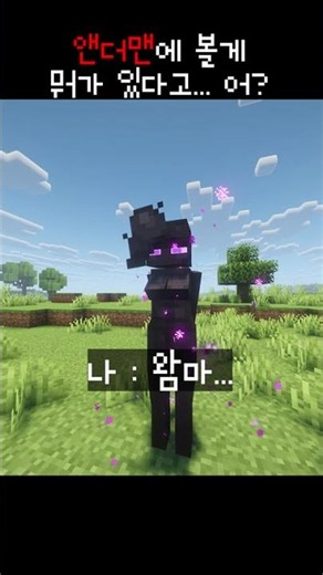 엔더맨에 볼게 뭐가 있다고... 쨍그랑!!!👀