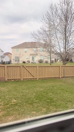 Caught in the act 😂 Iggy found a new way to escape the yard 😂 Credit: @tmishy24 (redit) ❤️DM for credit or removal / All rights®️ are reserved & belong to their respective owners . . . #bostonterrierlife #bostonterriernation #bostonterriergram #bostonterrierofinstagram #bostonterrierpics #bostonterrieroverload #bostonterriermoments #bostonterrierclub #bostonterriermom #bostonterrier_feature #bostonterriersrule #bostonterriersofig #bostonterrieraddict #bostonterrierlovers #bostonterriersrock #b