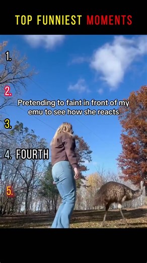 Por favor comparte con tus amigos #pov #herramientas #sketch #gracioso #actuación #historia