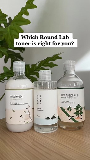 Round Lab Toner Guide: Best Options for Your Skin Type