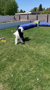 53 reactions · 7 comments | God søndag . En stille dag til mig lover...