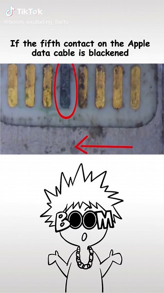 888 boom facts #facts #apple #datacable #fypシ