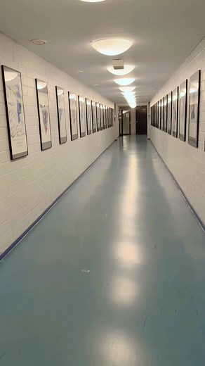 Maximize Your Skills in Sport Shooting