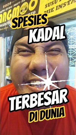 KADAL PALING BESAR DI DUNIA... #shorts #lucu #ngakak #kocak