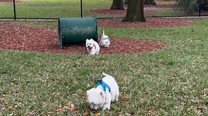 Danielle Alary on Reels