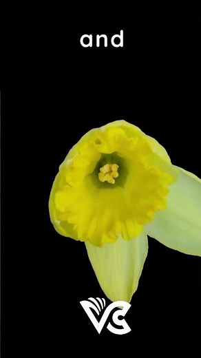 #relative VS #absolute #geological #dating #geology #shorts #short #earth #history #ancienthistory