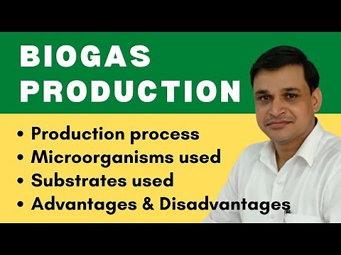 Biogas production process | Microbes and substrates used in biogas production