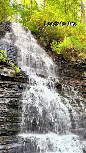 Tennessee summers >>>>> #tn #bentonfalls #outdoors #nature #hikingadventures #tennessee #sunshine #summer2025 #fyp