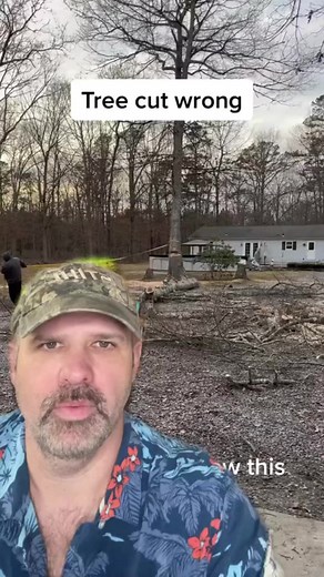153K views · 435 reactions | Tree cutting wrong #diy #howto #contractor #homerepair #home #handyman #treework #landscaping #carpenter #construction | Chris G’s RC | Facebook