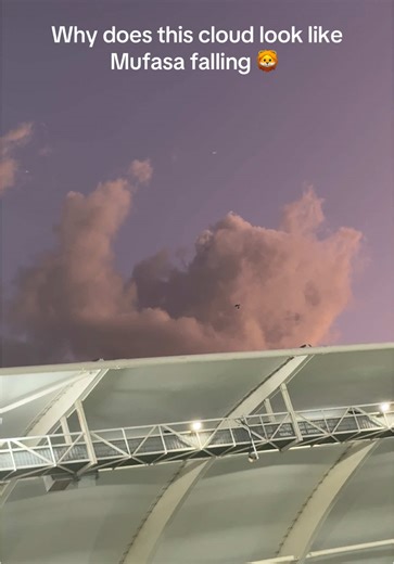 Exploring Clouds That Resemble Mufasa from The Lion King