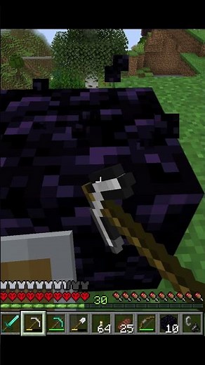 Using a iron pickaxe for mining Obsidian #stupid #minecraft #gaming #minecraftvideos