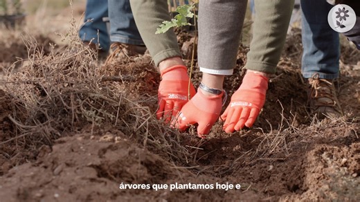 🫱🏻‍🫲🏻 COOPERAÇÃO: FERTINAGRO BIOTECH PORTUGAL | ICNF | CIMO-IPB | COMUNIDADE LOCAL DOS BALDIOS DE VILAR D’OURO E CABANAS A Fertinagro Biotech Portugal estabeleceu um protocolo para a reflorestação do baldio de Vilar D’ouro e Cabanas, um projeto que tem objetivo regenerar esta área florestal, sediada em Macedo de Cavaleiros. 🖋 A cerimónia de assinatura deste protocolo - Projeto de Arborização de Vilar d’Ouro e Cabanas - decorreu na Casa do Careto, em Podence, onde as diferentes entidades se 