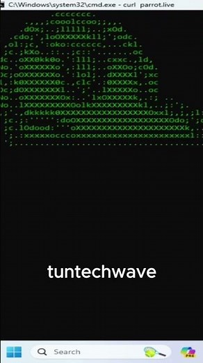 some fun with windows terminal #cmd #curl