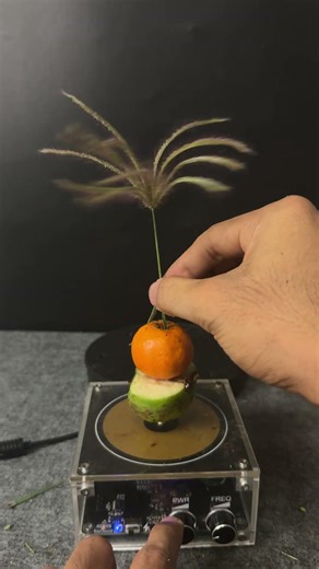 Tesla Coil Testing #experiment #shorts