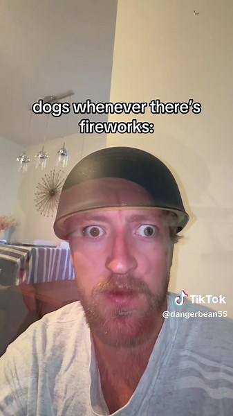 Dogs Reacting to Fireworks: A Comedy Sketch