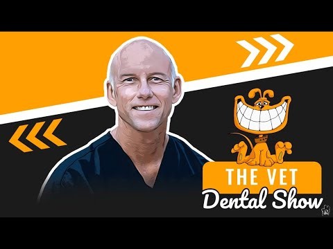 Episode 194 - Slab Fractures, Tooth Extraction & Restoration Techniques in Veterinary Dentistry