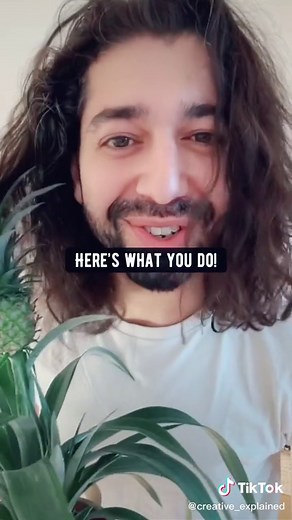 Apples Pineapples = Best Friends!🌱🤩 #pineapple #flower #plants #planttips #apple #plantsoftiktok #hacks #lifehack #bryanadams #gardening #diy