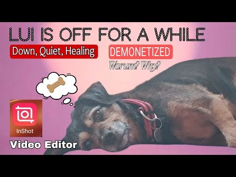 LIFE GOES ON, enjoy every moment| InShot Editor since 2021#happy dog #monetize gone #cheers #hund