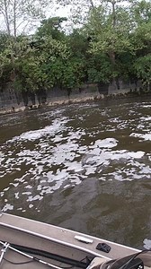 Big musky!!! #fishing #musky #fish | Musky Addict