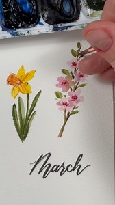 12K views · 1.6K reactions | Paint March’s other birth month flower with me, cherry blossoms! Brush: size 2 round Emma lefebvre x @craftamo Paper: @etchr_lab #watercolor #watercolour #beginnerwatercolor #beginnerwatercolour #watercolortutorial | EmJ Lefebvre | Facebook