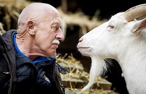 'The Incredible Dr. Pol's 19th Season Finale Promises a Peek at the 'New Pol on the Block'