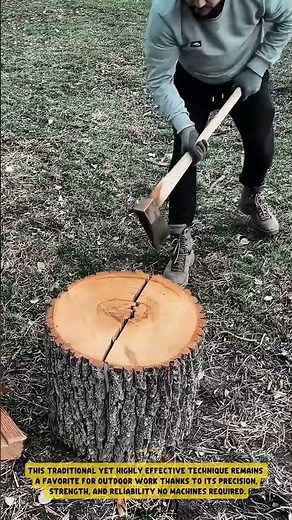 Manual Tree Splitting Process using an axe – Good Tools and Machinery in Daily Work