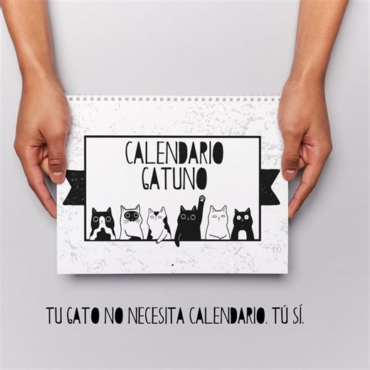 Funny Cat Calendar Without Dates | Perpetual Cat Calendar | Sarcastic Cat Quotes | Gift for Cat Lovers - Etsy UK