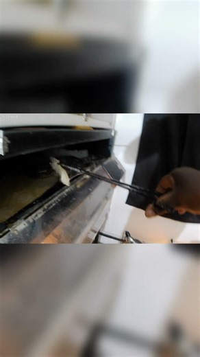 SD Retic feeding— Elite hunters. #reticulatedpython #superdwarf #snakefeeding #predator #exoticpets