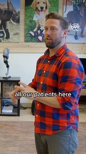 Get an inside look at The Wizard of Paws! 🐾 Executive Producer John Collin shares how Derrick builds life-changing devices for animals all around the world. Stream all 6 seasons for free on BYUtv. 💙 #WizardofPaws #WizardofPawsTV #BYUtv #BionicPets | The Wizard of Paws