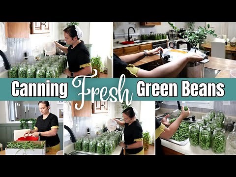 Easy Steps for Canning Fresh Green Beans