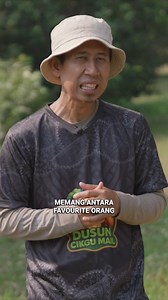 Durian Musang Queen Atau Lebih Dikenali Sebagai Tekka. Isi Manis & Berlemak 📍Dusun Cikgu Mail | Destinasi TV