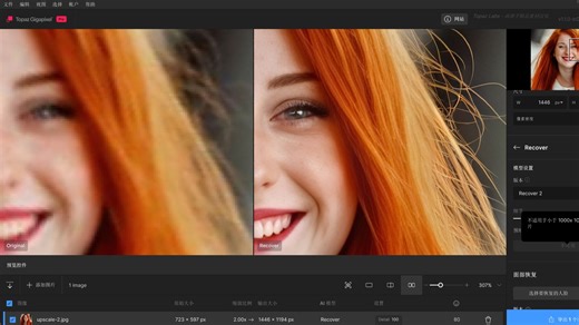 纯干货教程！全模型全功能实测 最新 Topaz Gigapixel Pro 110 中文免安装版