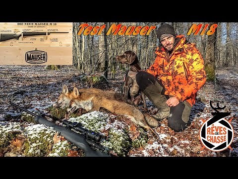 J'ai testé pour vous: La carabine Mauser M18, chasse en battue dans les vosges