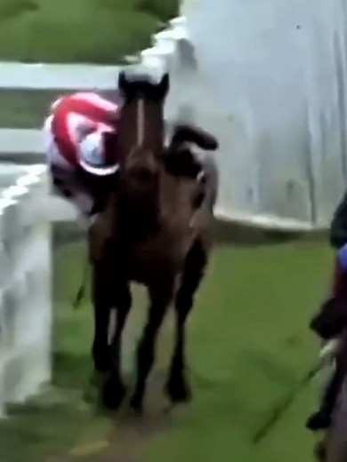 Acrobates de l'extrême dans les courses de chevaux