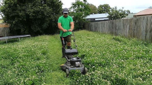 Transforming a Clover Field into a Beautiful Lawn – Satisfying Long Grass Mowing in Action!
