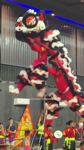 Dismount Lion Dance 中国广东省湛江市遂溪龙湾龙狮艺术团