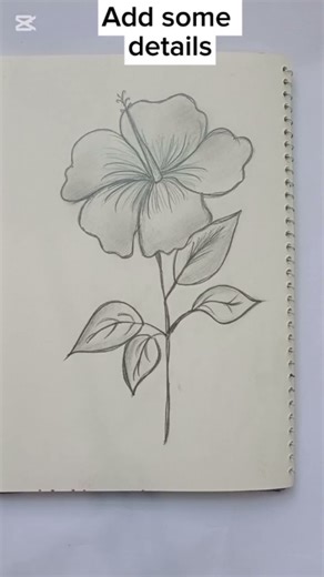 Before vs After Flower Drawing | Pencil Art Transformation