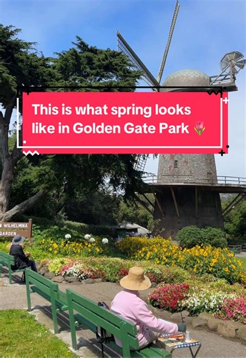 Believe it or not, spring is coming, and we can’t wait to check out the blooming flowers in Golden Gate Park! 🌻🌷Share this with the person you want to go park-strolling with here soon! 🌳 📍@San Francisco 📷 @Ro | Travel Tips, Inspo, Hacks #VisitCalifornia #SanFrancisco #BayArea #California #GoldenGatePark