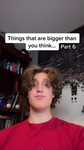 Teletubbies Height vs Human Size Comparison