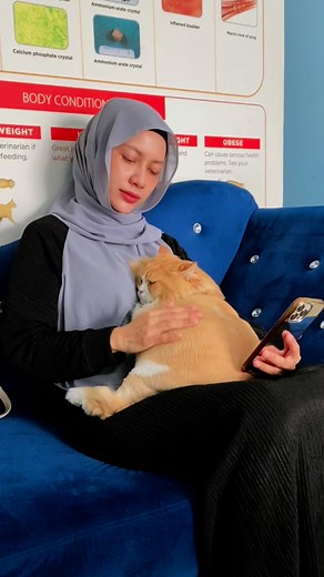 2.9M views · 81K reactions | Baru dapat tahu hari ini, kucing kesayangan saya @beshetik ada leukemia (FeLV). Memang sedih bila dengar… tapi saya pilih untuk terus kuat, sebab dia pun perlukan kasih sayang & semangat saya. Ada tak sesiapa yang pernah jaga kucing dengan keadaan macam ni? Saya nak belajar cara terbaik untuk pastikan dia tetap bahagia & rasa disayangi walaupun sakit. Doakan @beshetik ye.. #positivevibes | Zara Zya Official | Facebook