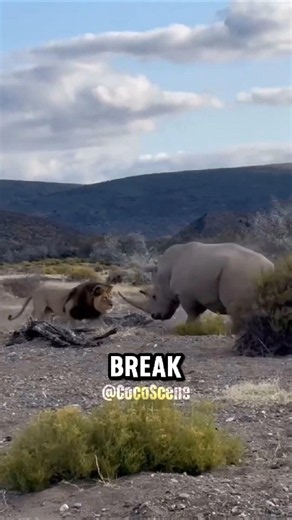 Animals Break the Rules of the Food Chain.