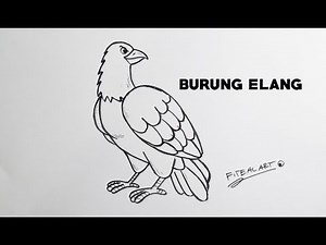 Cara menggambar [ BURUNG ELANG] How to draw eagle animals step by step.