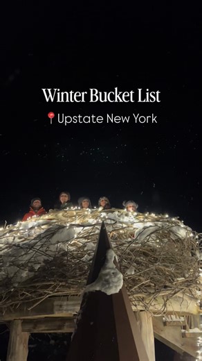 Some places feel like they were built to wake up your sense of wonder, and The Wild Center in Tupper Lake might just be the blueprint. From treetop bridges to glowing winter nights, it’s an experience that feels both immersive and unbelievably fun, the kind of thing you talk about for months after. The Wild Walk takes you above the forest canopy, offering wide-open Adirondack views, hands-on experiences, and moments that feel tailor-made for adventure seekers, families, and anyone who loves a go
