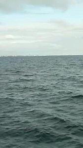 DAPAT NIYONG MALAMAN PAG DITO KAYO MAG ANCHORAGE SA NAGA CITY, CEBU. LALO NA SA MGA KABARO NATIN NA BAGUHAN AT HINDI PA NAKARANAS DITO! #ship #information #captain #maritime #SEAMAN #knowledge #Cebu #nagacity #Chanel #educational #share #working #anchorage #marinoph #fbpostviral #fbpost #fbviral #highlights #friends #followers #everyone #reelsfb | Rodel Padernal Aragon